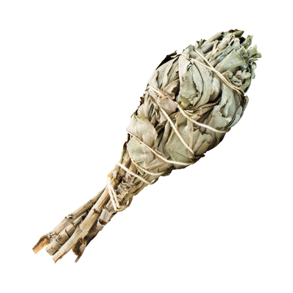 Encens Palo santo 50g sauge blanche grand set