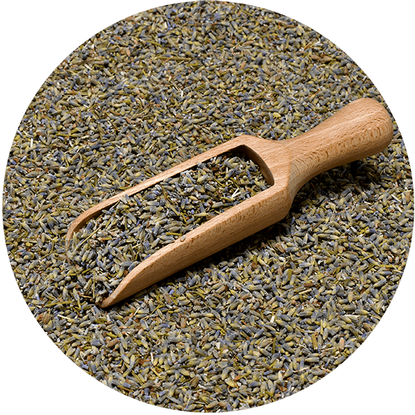 Mary Rose – Lavande 25 g – fleur de lavande (écologique)