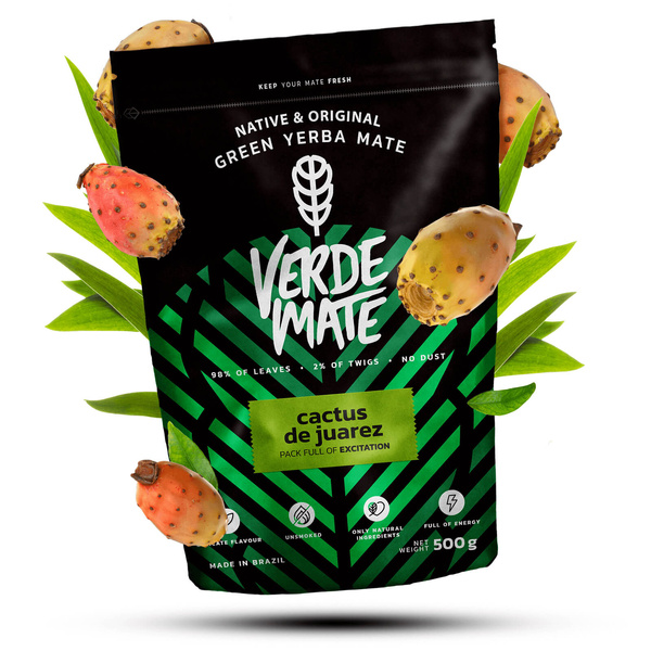 Set cadeau Yerba Verde Mate Cactus 0,5kg 