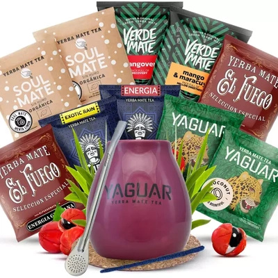 Yerba Mate starter kit calebasse Bombilla 10x50g