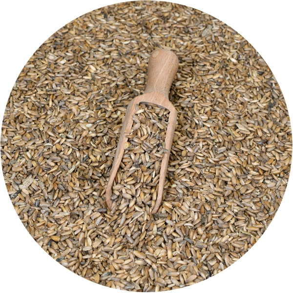 Vivarini – Chardon (graine) 50 g