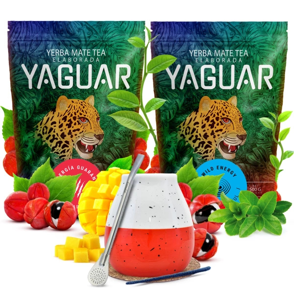 Yaguar yerba maté set céramique calebasse bombilla