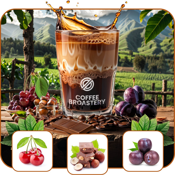 Bro Coffee Roastery – Café en grains Costa Rica San Rafael Speciality 1 kg