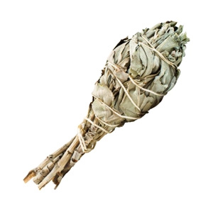 Encens Palo santo 50g sauge blanche grand set