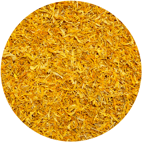 Mary Rose – Souci 10 g – fleur de souci (pétales)