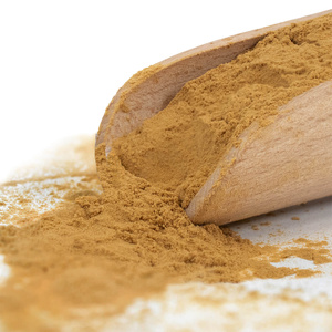 Magic Pwdr – Chaga 100 g