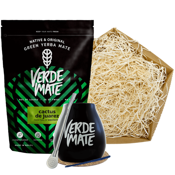 Set cadeau Yerba Verde Mate Cactus 0,5kg 