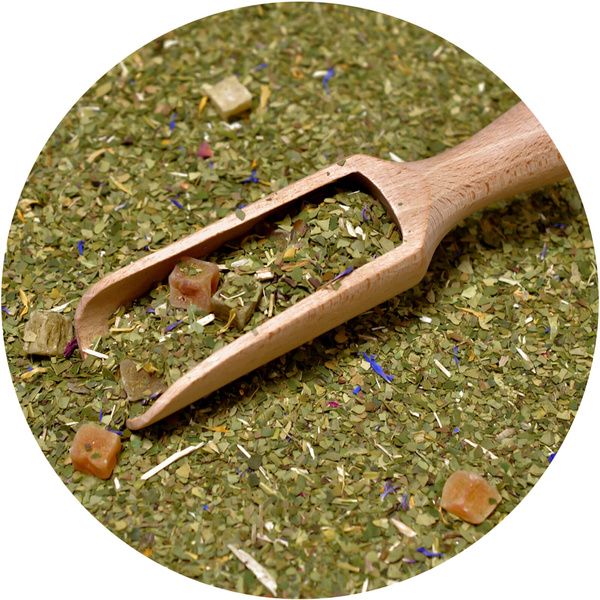 Trio Yerba Verde Mate sur START pour les débutants