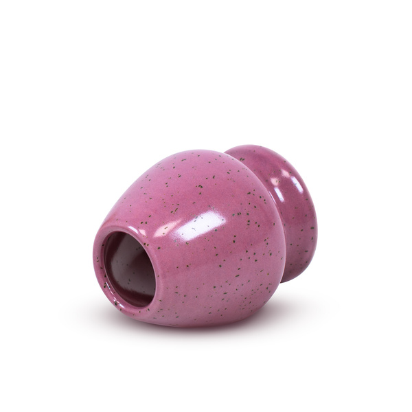 Set d'accessoires pour l'infusion de thé Matcha