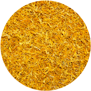 Mary Rose – Souci 10 g – fleur de souci (pétales)