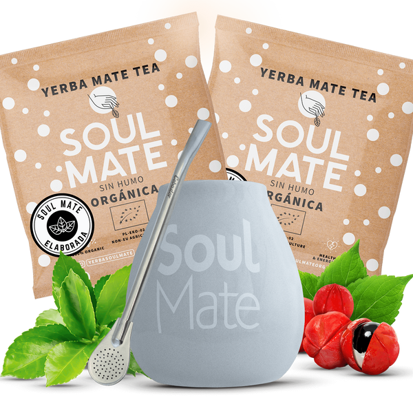 Ensemble Yerba mate Bombilla Calabach Matero BIO